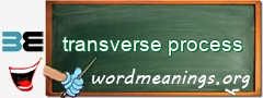 WordMeaning blackboard for transverse process